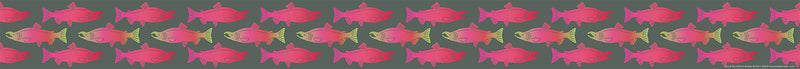 Barker Creek Double-Sided Border, 35" x 3", Salmon, 12/Pack (932)