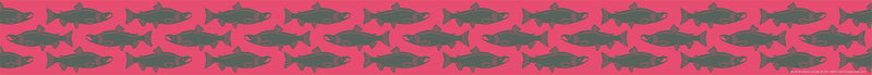 Barker Creek Double-Sided Border, 35" x 3", Salmon, 12/Pack (932)