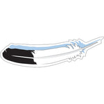 Barker Creek Sea & Sky Double-Sided Accents, Multi-Design, 36 per package/6 designs (BC2211)