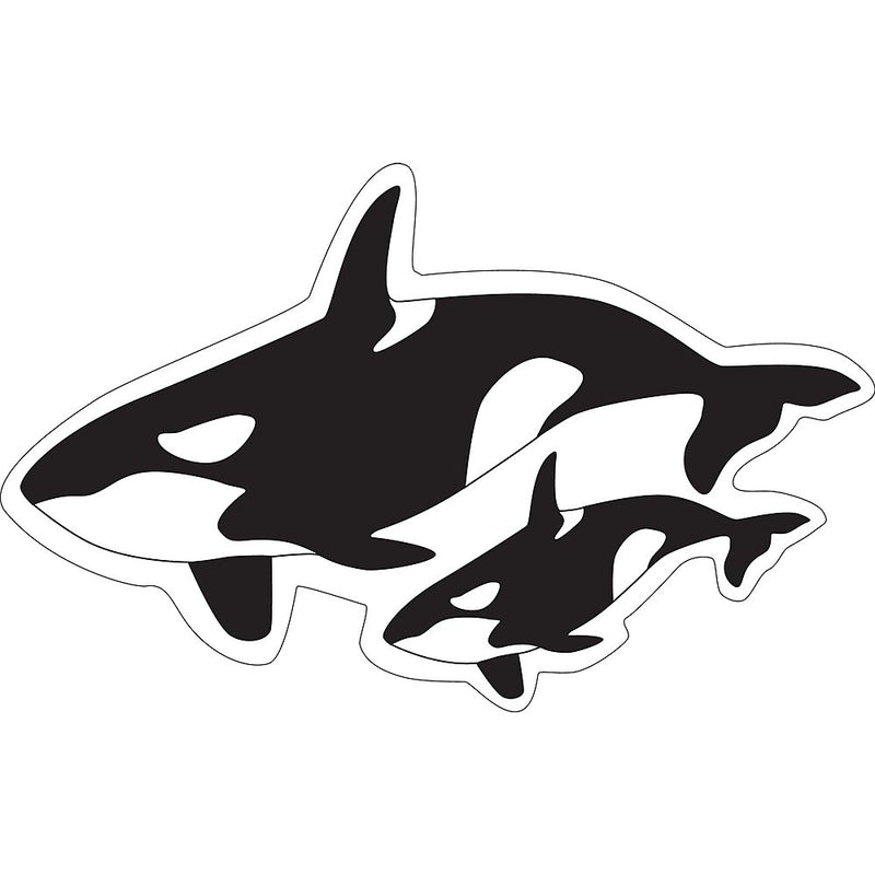 Barker Creek Sea & Sky Double-Sided Accents, Multi-Design, 36 per package/6 designs (BC2211)