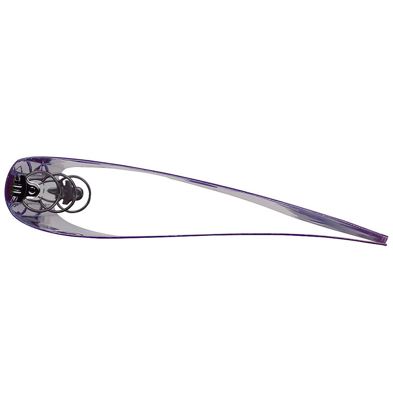 JAM Paper® Plastic 1 Inch Binder, Purple 3 Ring Binder, Sold Individually (218912242)