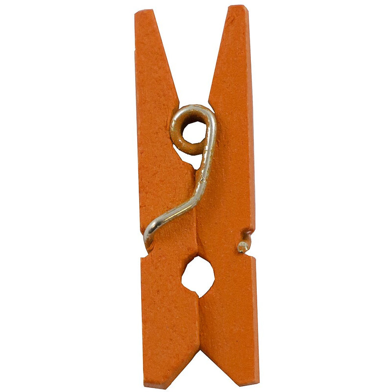 JAM Paper Wood Clip Small Wood Clothespins, Orange, 2 Packs of 50 (230729133A)