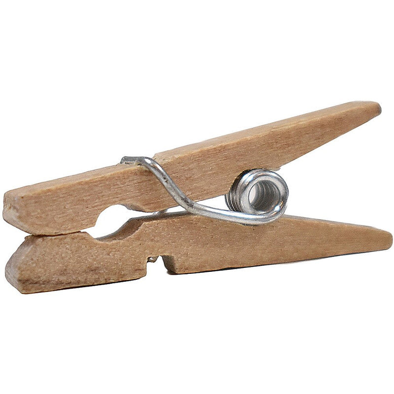 JAM Paper Wood Clip Small Wood Clothespins, Natural Brown, 2 Packs of 50 (3230717359A)