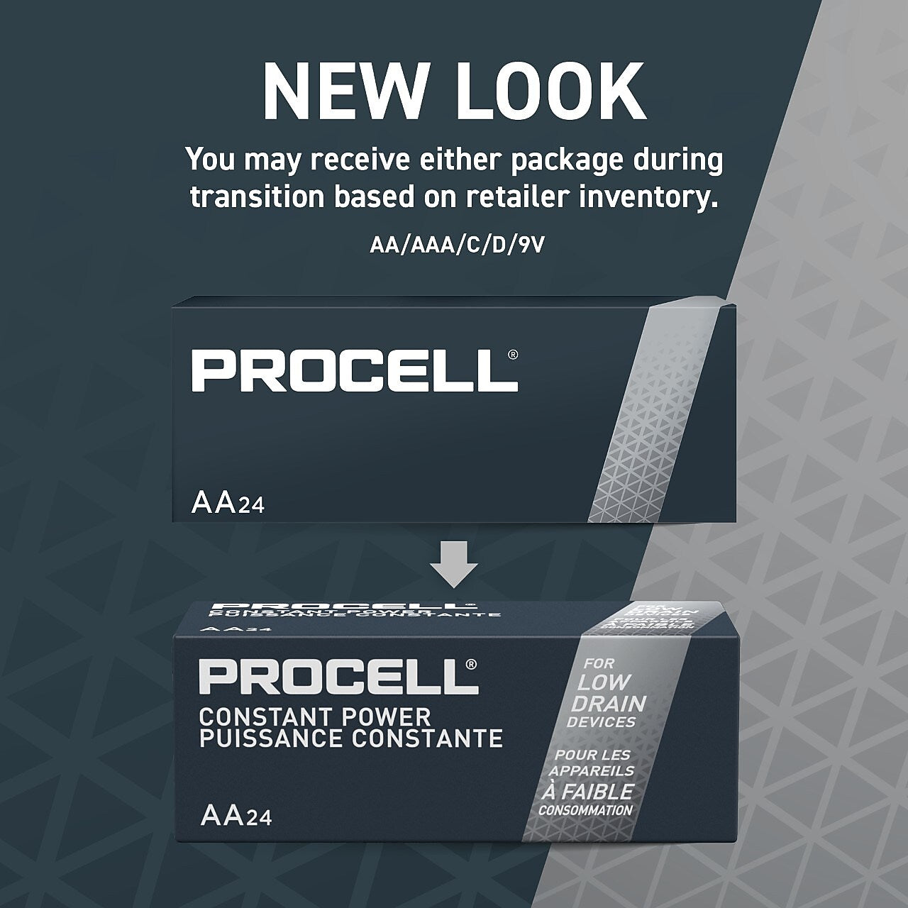 Procell D Alkaline Battery, 12/Pack (PC1300)