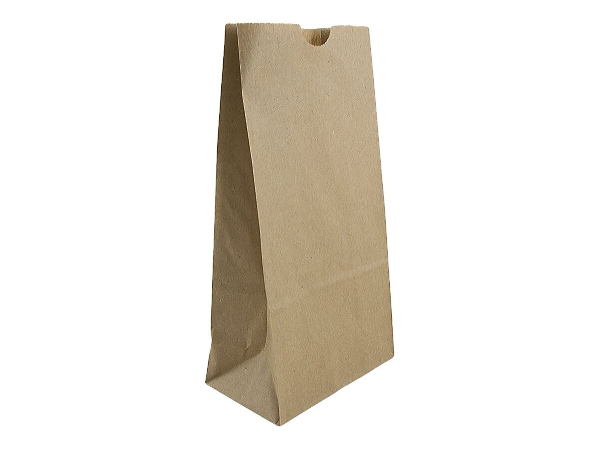 JAM Paper Kraft Lunch Bags, 8" x 4.25" x 2.25", Brown, 500/Pack (690KRBRB)