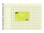 Staples 13 Columns Columnar Book, 16.31"W x 11"H, Green (ST18868)