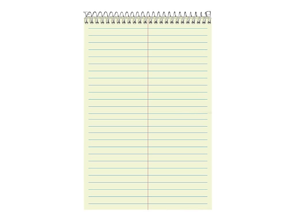 Ampad Steno Pad, 6" x 9", Gregg Ruled, Green, 60 Sheets/Pad (TOP 25-270)