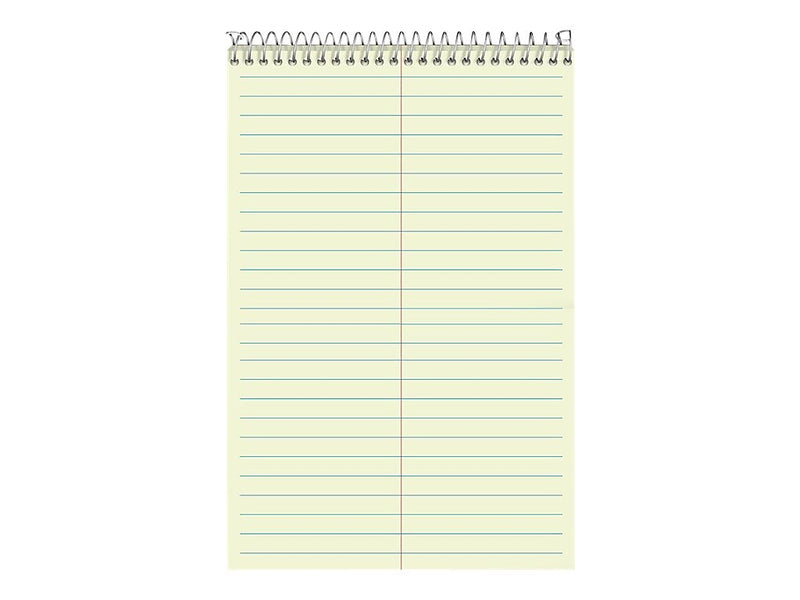 Ampad Steno Pad, 6" x 9", Gregg Ruled, Green, 60 Sheets/Pad (TOP 25-270)