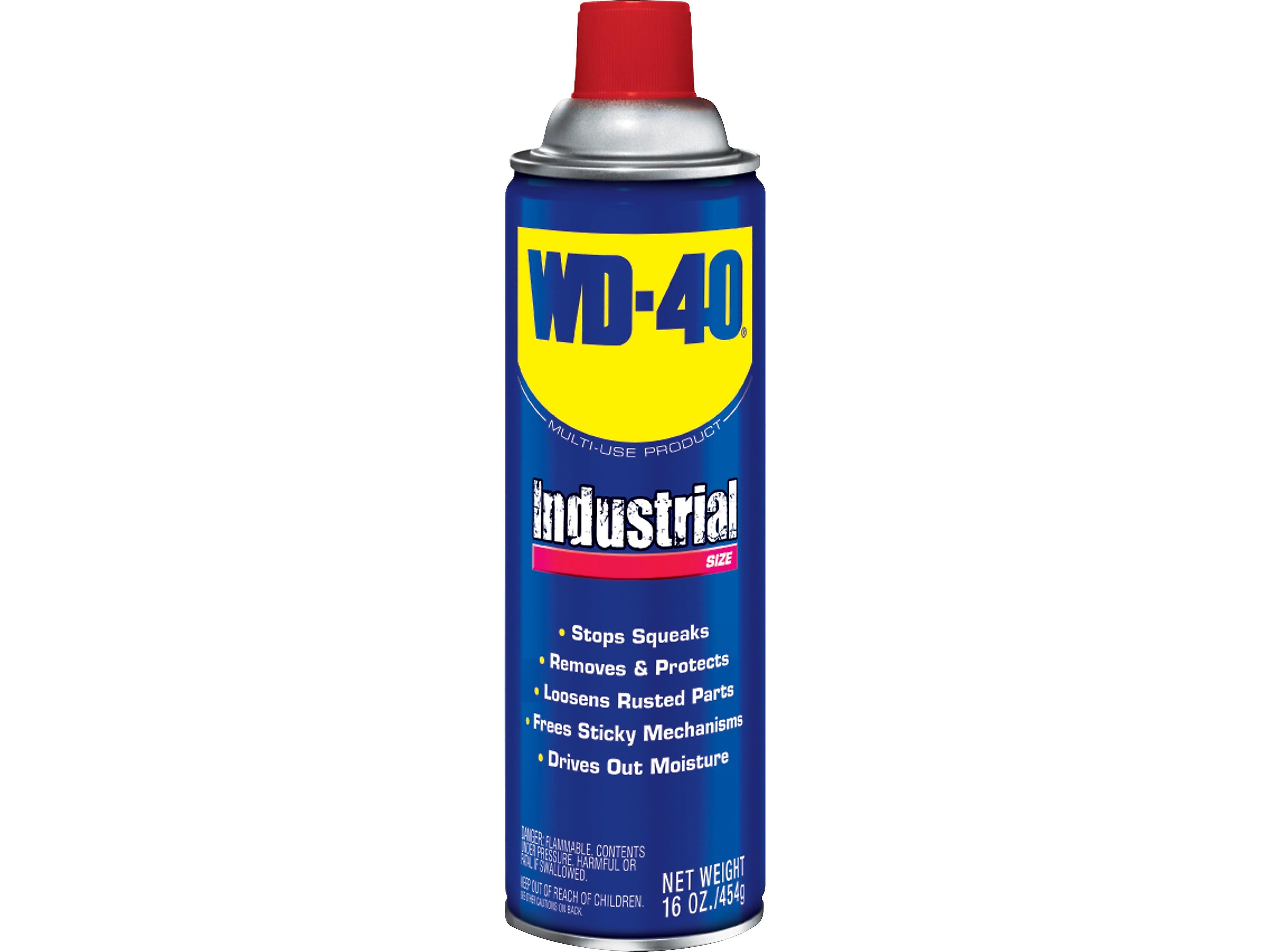 WD-40 Industrial Size 16 oz. Penetrating Lubricant (WDF490088)