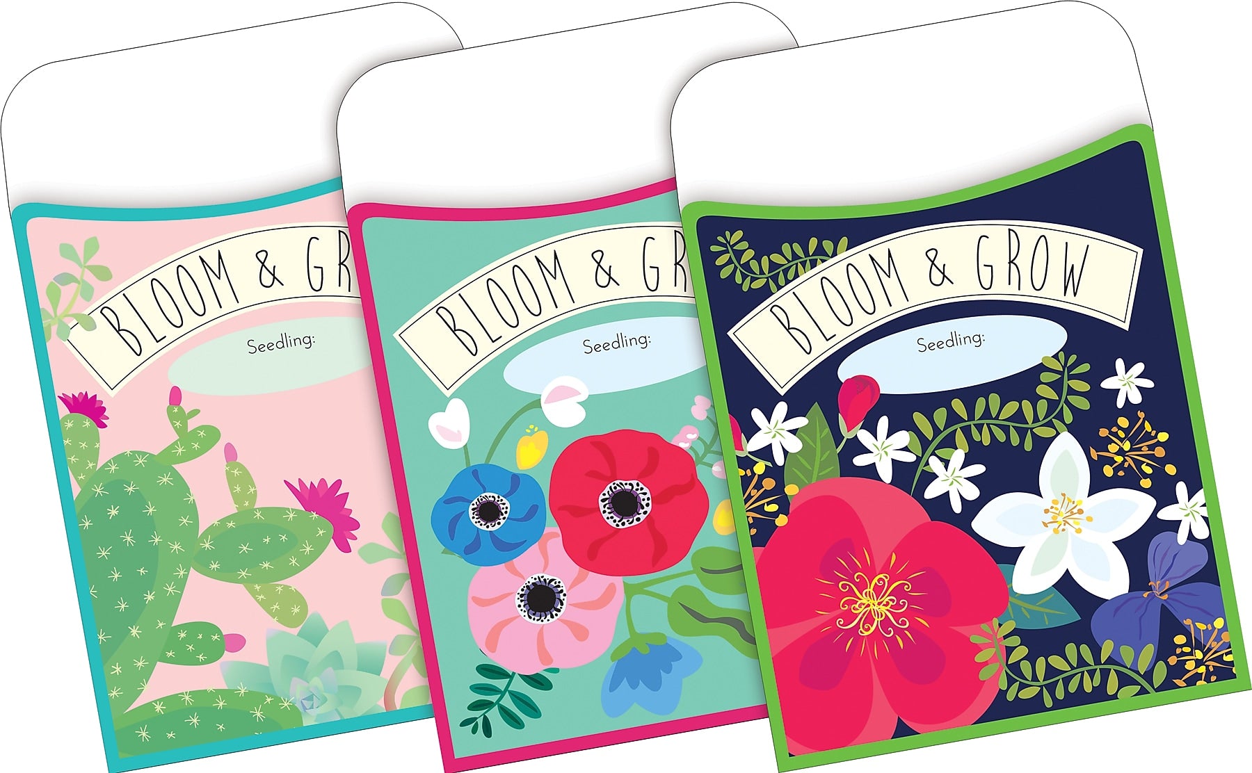 Barker Creek Petals & Prickles Peel & Stick Library Pockets, 5.125" x 3.5", 30/Pack (BC120/Pack6)