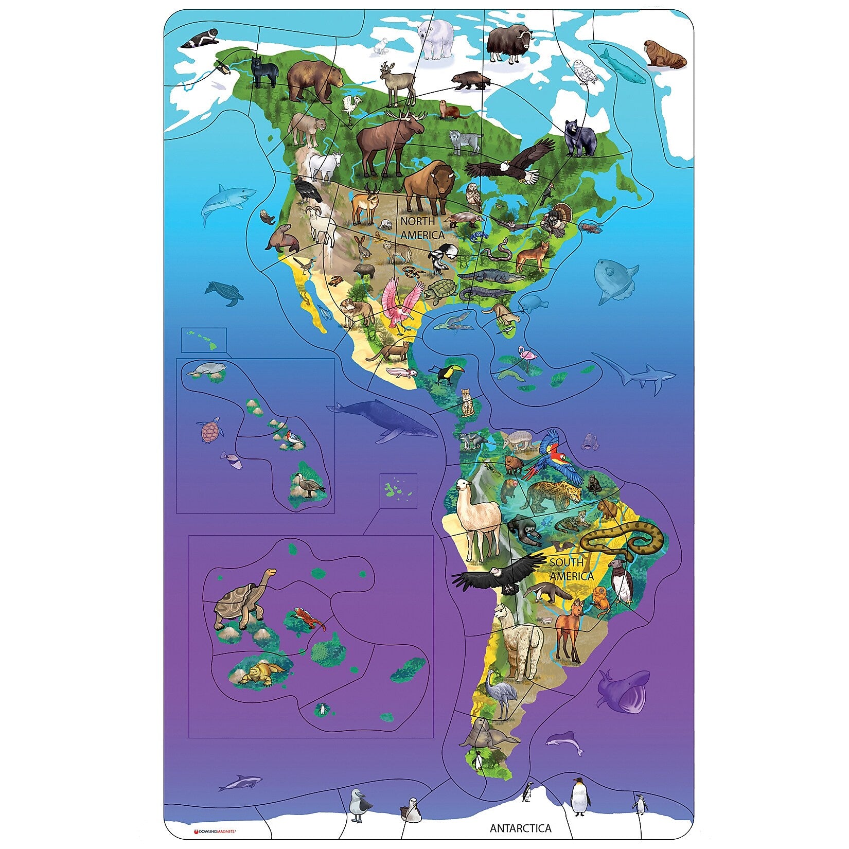 Dowling Magnets Animal Magnetism® Magnetic Wildlife Map Puzzle: North & South America, Grades PreK-4 (DO-734100)