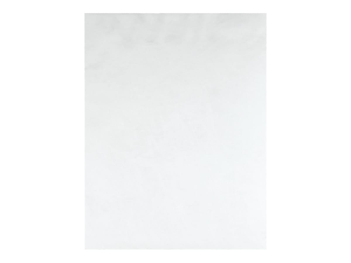 Quality Park Survivor Tyvek Self Seal Catalog Envelopes, 13" x 10", White, 100/Box (QUAR1580)