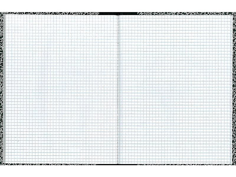 National Brand Laboratory 1-Subject Computation Notebooks, 7.88" x 10.13", Quad, 96 Sheets, Green (53110)