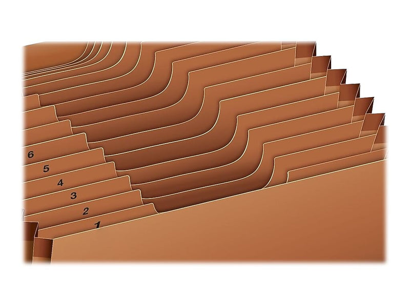 Pendaflex Heavy Duty Expanding File, 1-31 Index, Letter Size, 31-Pocket, Brown (R217DHD)