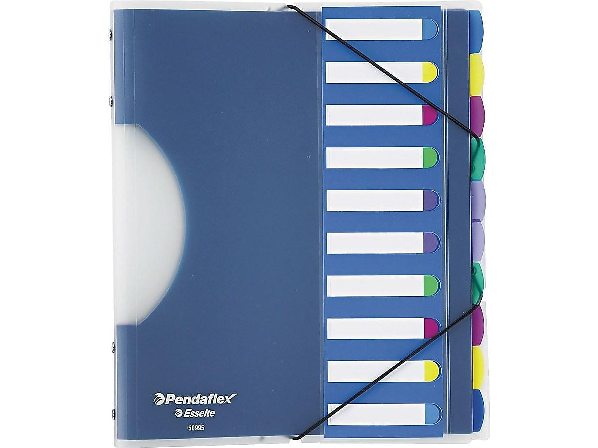 Pendaflex PileSmart Project Sorters, Letter Size, 10-Tab, Multicolor (PFX 50995)