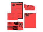 Astrobrights Multipurpose Paper, 24 lbs., 8.5" x 11", Rocket Red, 500/Ream, 10 Reams/Carton (22641A)
