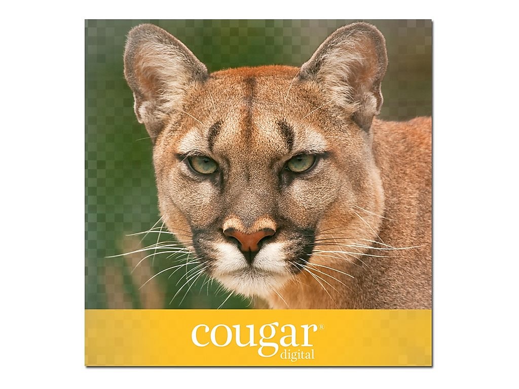 Domtar Cougar Digital 10% Recycled 8.5" x 11" Business Paper, 70 lbs., 98 Brightness, 500 Sheets/Ream, 8 Reams/Carton (2826CASE)