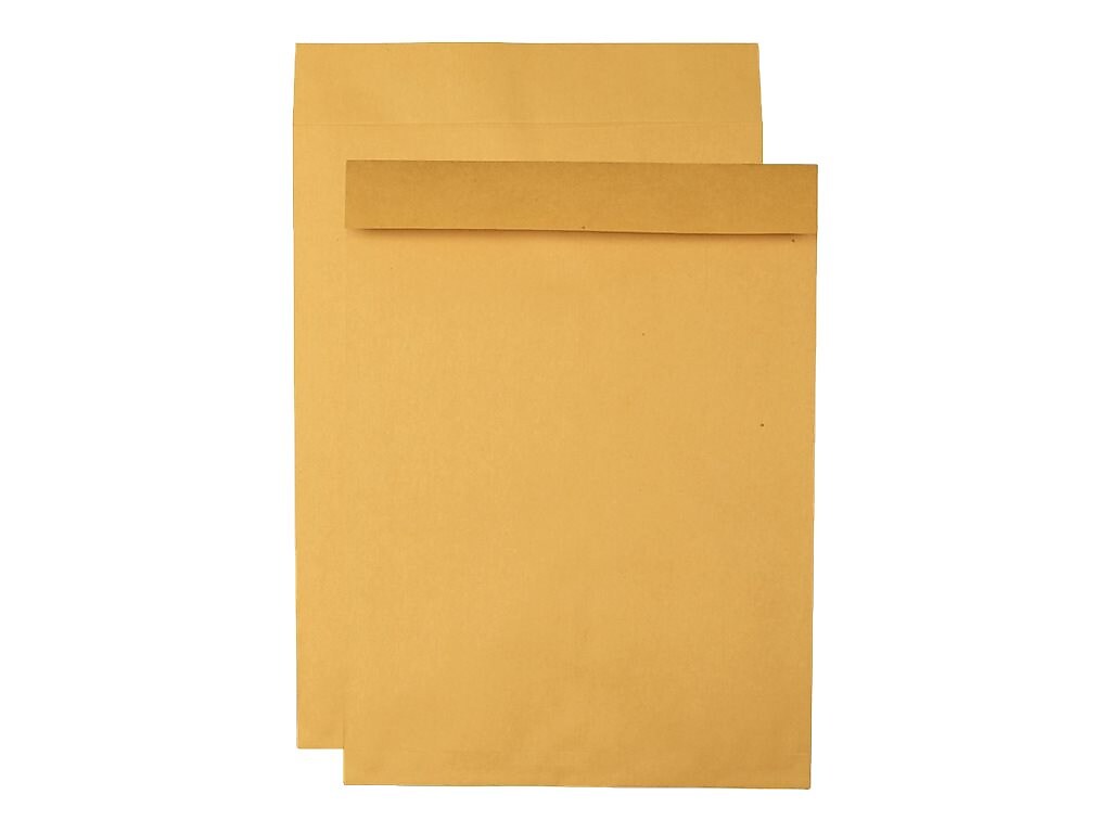 Quality Park Open End Kraft Catalog Envelopes, 15" x 20", Brown Kraft, 25/Box (QUA42355)