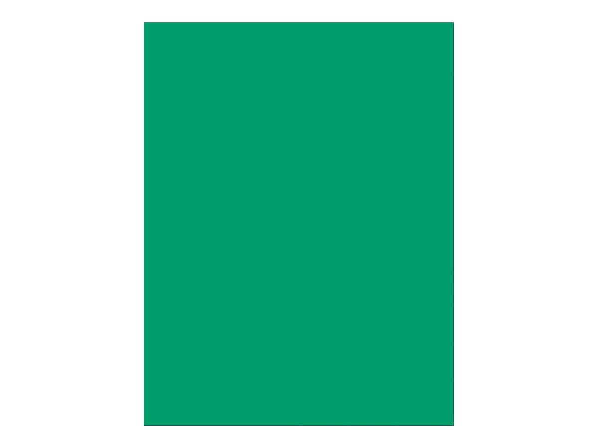 Pacon Multi-Purpose Paper, 8.5"W x 11"L, Emerald Green, 500/Ream (102057)