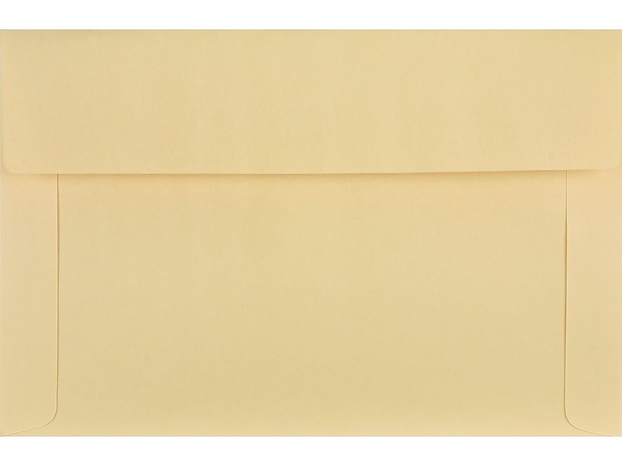 Quality Park Open End Document Envelopes, 10" x 14 3/4", Cameo Buff, 100/Box (QUA89606)