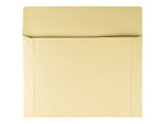 Quality Park Open End Document Envelopes, 10" x 14 3/4", Cameo Buff, 100/Box (QUA89606)
