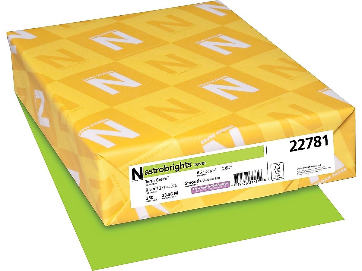 Astrobrights Cardstock Paper, 65 lbs, 8.5" x 11", Terra Green, 250/Pack (22781)