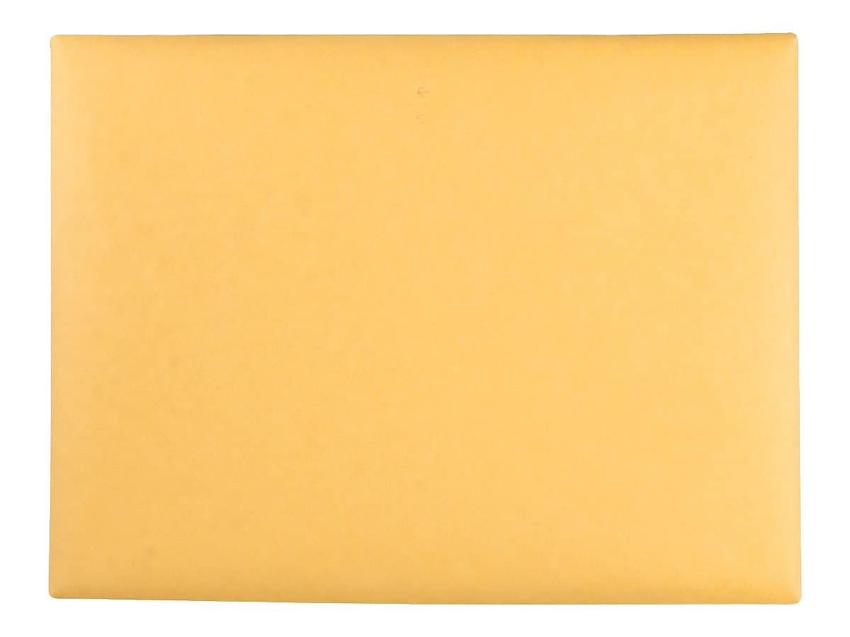 Quality Park Clasp Kraft Catalog Envelopes, 9"L x 12"H, Kraft, 100/Box (QUA38090)