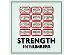 Altoids Peppermint Mints, 21.12 oz., 12/Pack (209-00483)