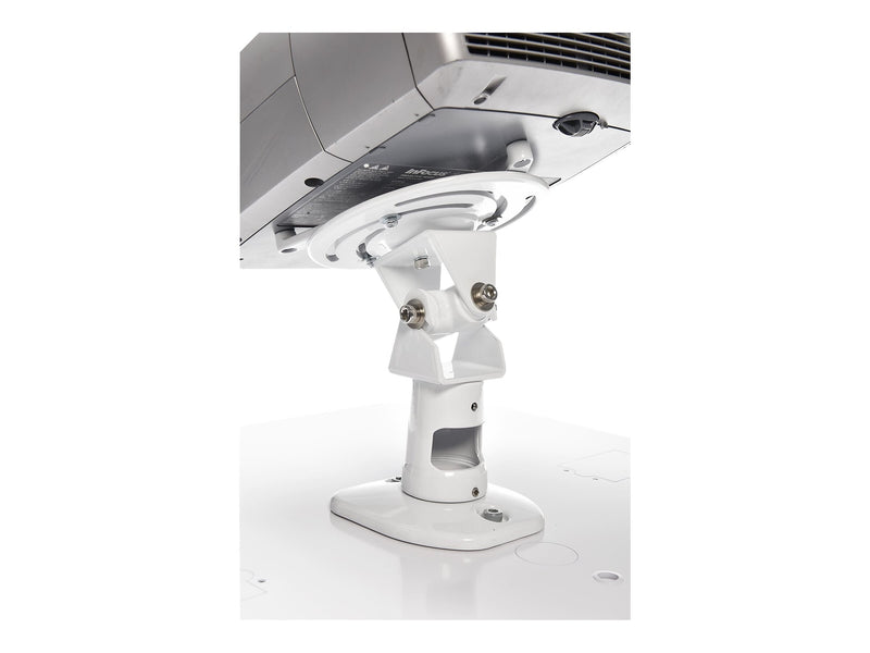 Amer Universal Mounts for All Projectors