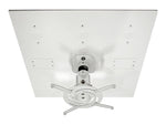 Amer Universal Mounts for All Projectors