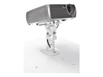 Amer Universal Mounts for All Projectors