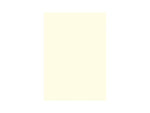 Great Papers 5.5"W x 7.75"H Celebration Invitations, Ivory, 100/Pack