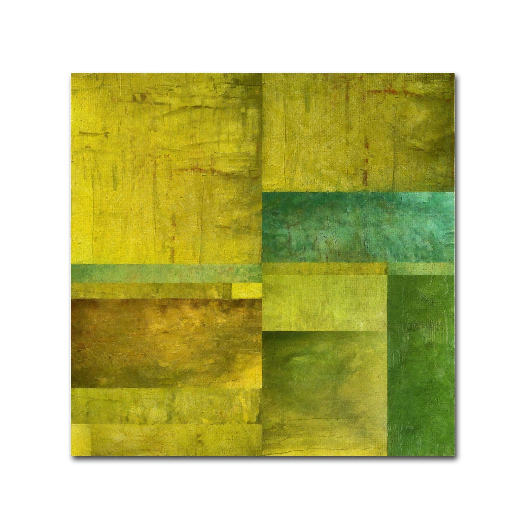 Trademark Fine Art Michelle Calkins 'Essence of Green' 18" x 18" Canvas Stretched (190836071357)