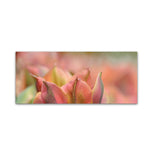 Trademark Fine Art Cora Niele 'Tulip 'Artist' Scape' 10" x 24" Canvas Stretched (190836317820)