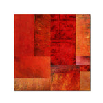 Trademark Fine Art Michelle Calkins 'Essence of Red' 14" x 14" Canvas Stretched (190836071500)