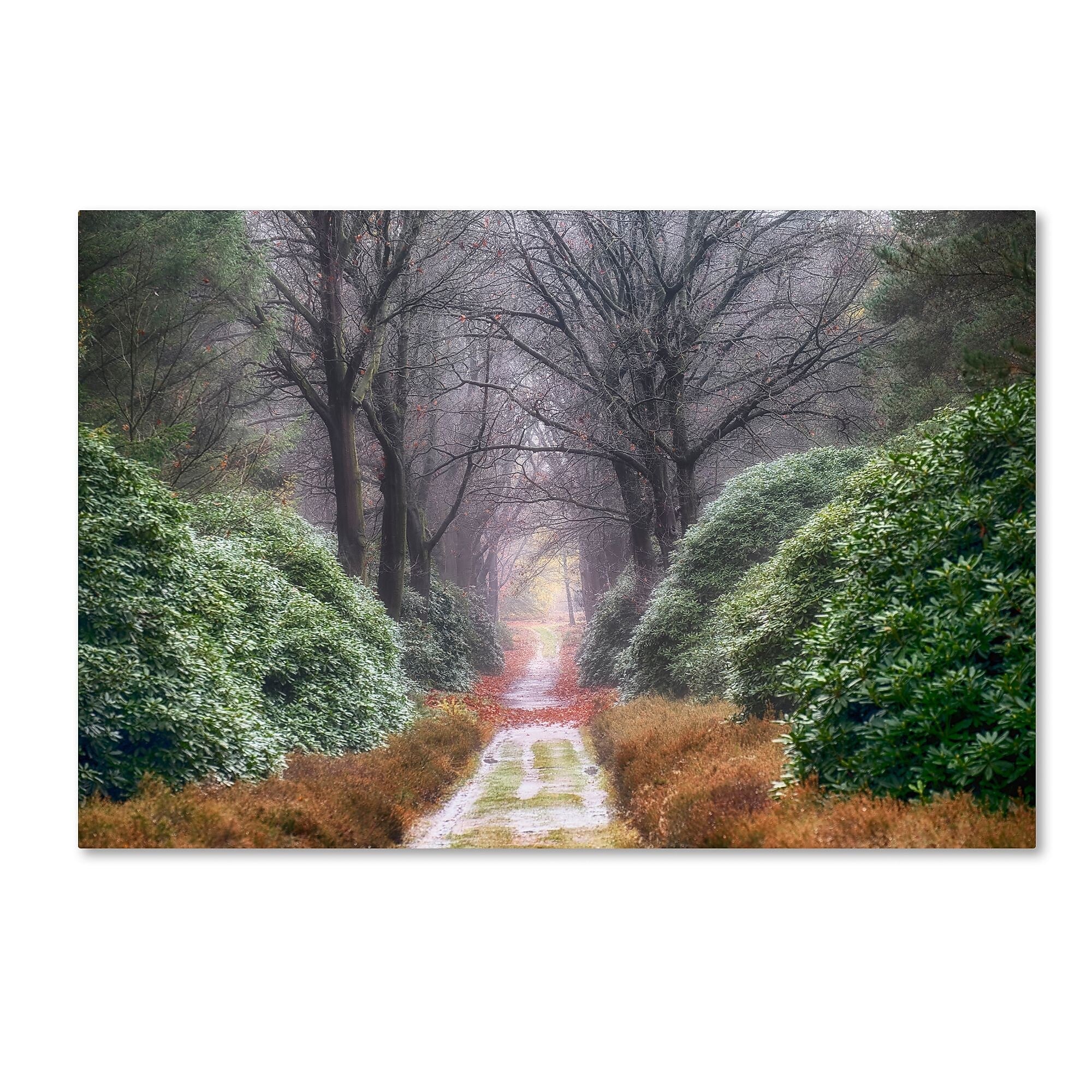 Trademark Fine Art Cora Niele 'Rhododendron Lane' 12" x 19" Canvas Stretched Art Print (190836316809)