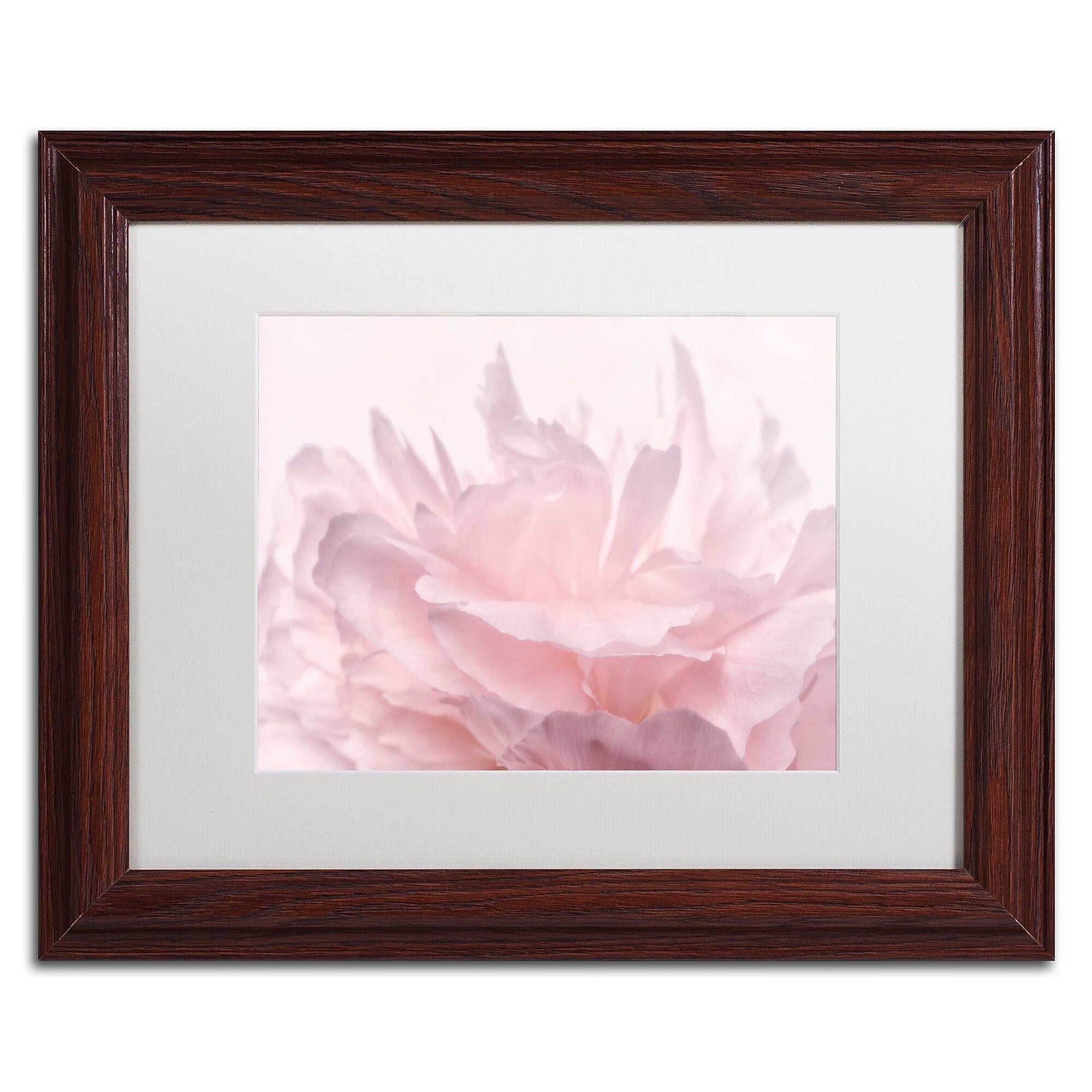 Trademark Fine Art Cora Niele 'Pink Peony Petals III' 11" x 14" Matted Framed (190836307661)