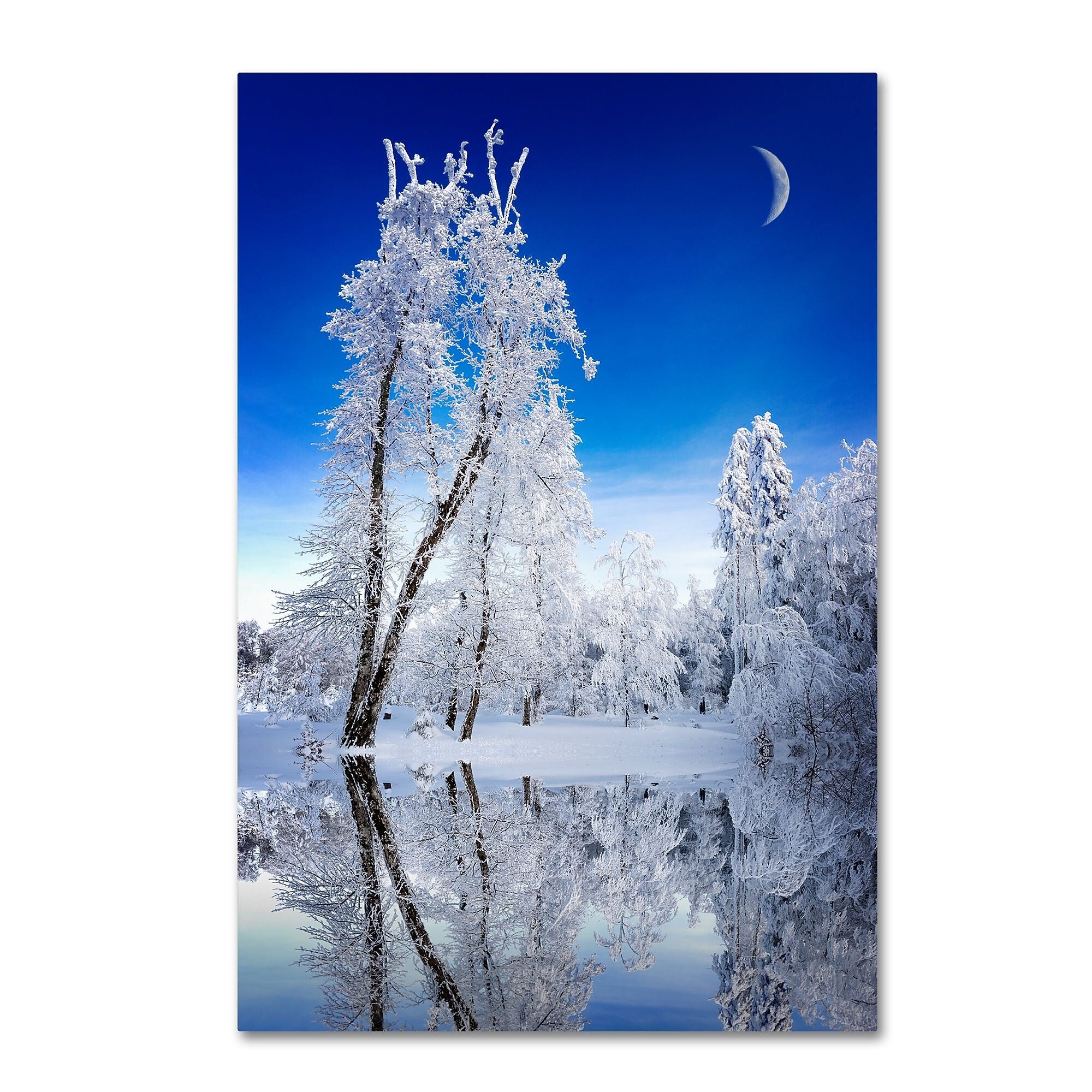 Trademark Fine Art Philippe Sainte-Laudy 'Emotive Ballad' 12" x 19" Canvas Stretched Art Print (190836121427)