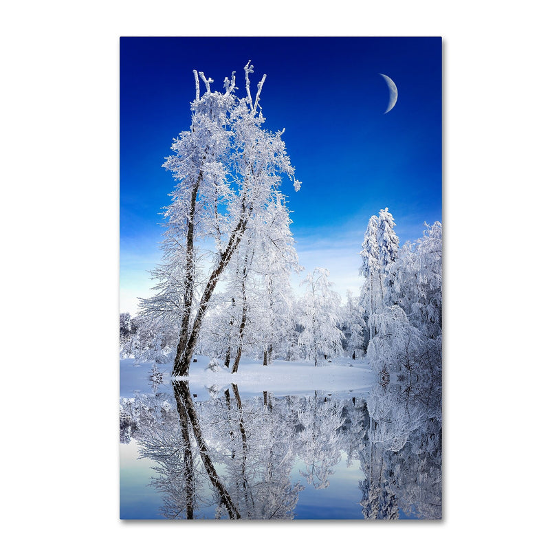 Trademark Fine Art Philippe Sainte-Laudy 'Emotive Ballad' 12" x 19" Canvas Stretched Art Print (190836121427)