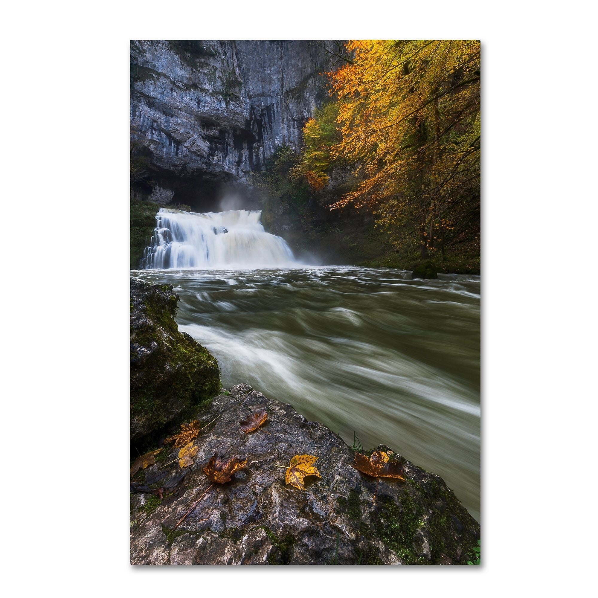Trademark Fine Art Mathieu Rivrin 'Perfect Harmony' 12" x 19" Canvas Stretched Art Print (190836131907)