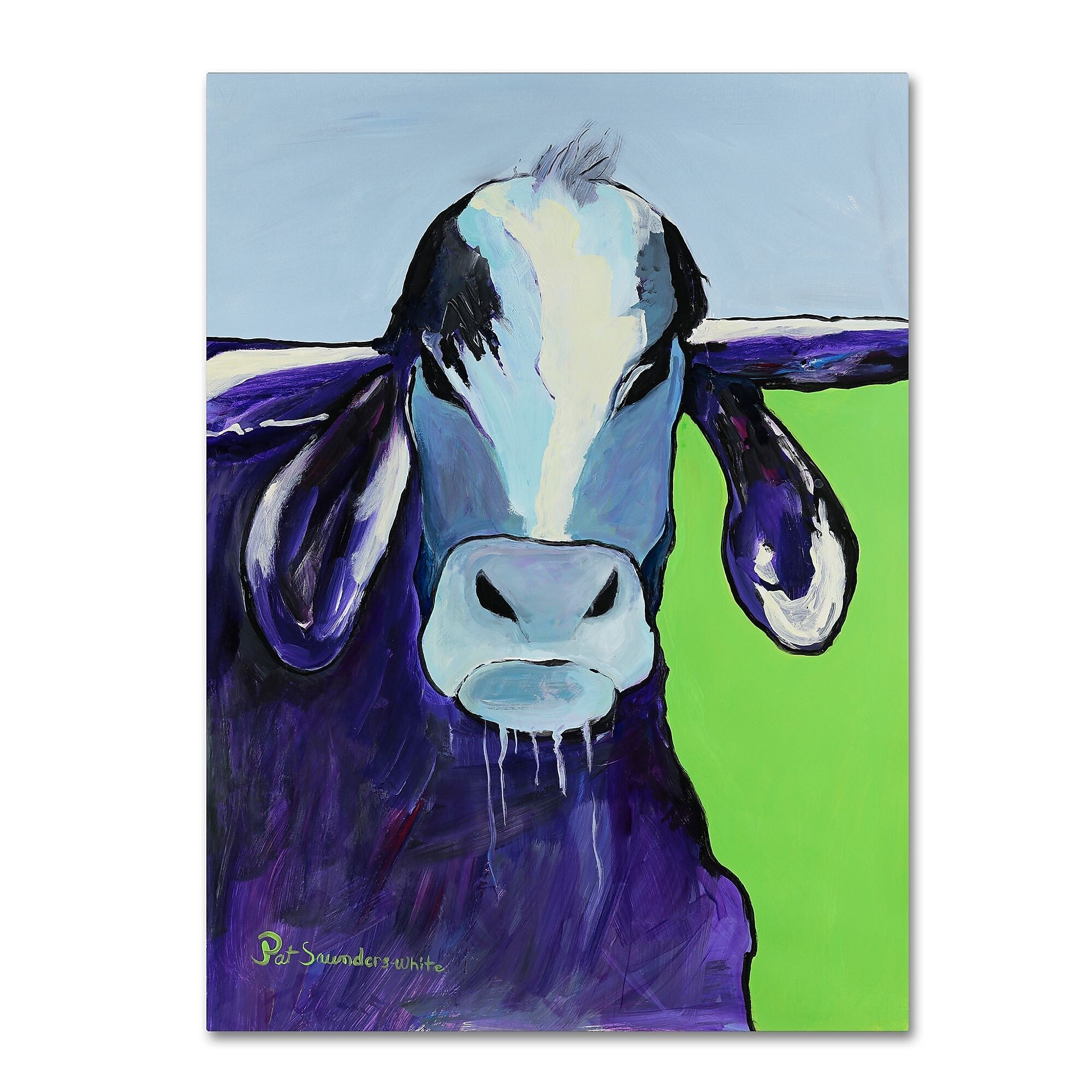 Trademark Fine Art Pat Saunders-White 'Bull Drool' 14" x 19" Canvas Stretched Art Print (190836063550)