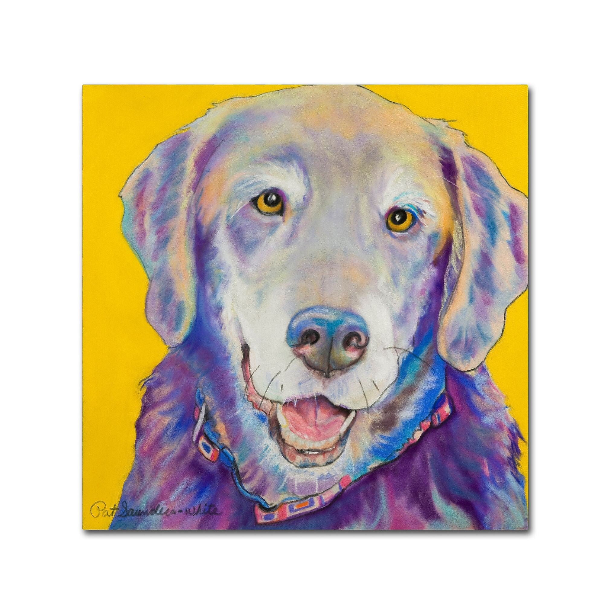 Trademark Fine Art Pat Saunders-White 'Willie' 14" x 14" Canvas Stretched Art Print (190836063239)