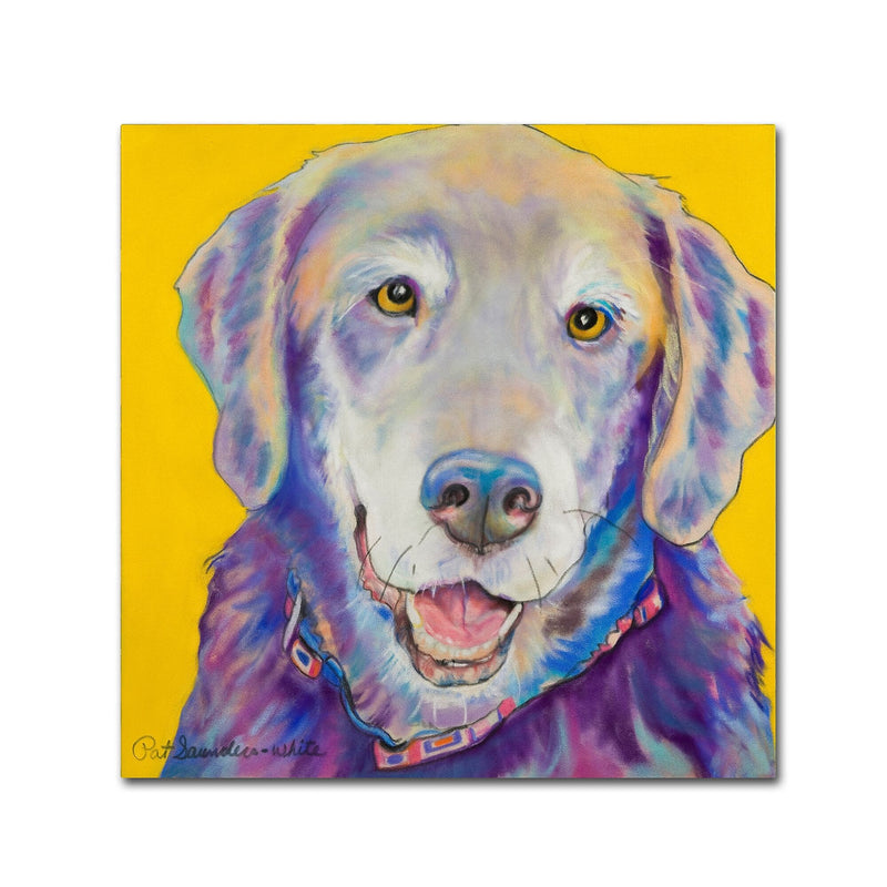 Trademark Fine Art Pat Saunders-White 'Willie' 14" x 14" Canvas Stretched Art Print (190836063239)
