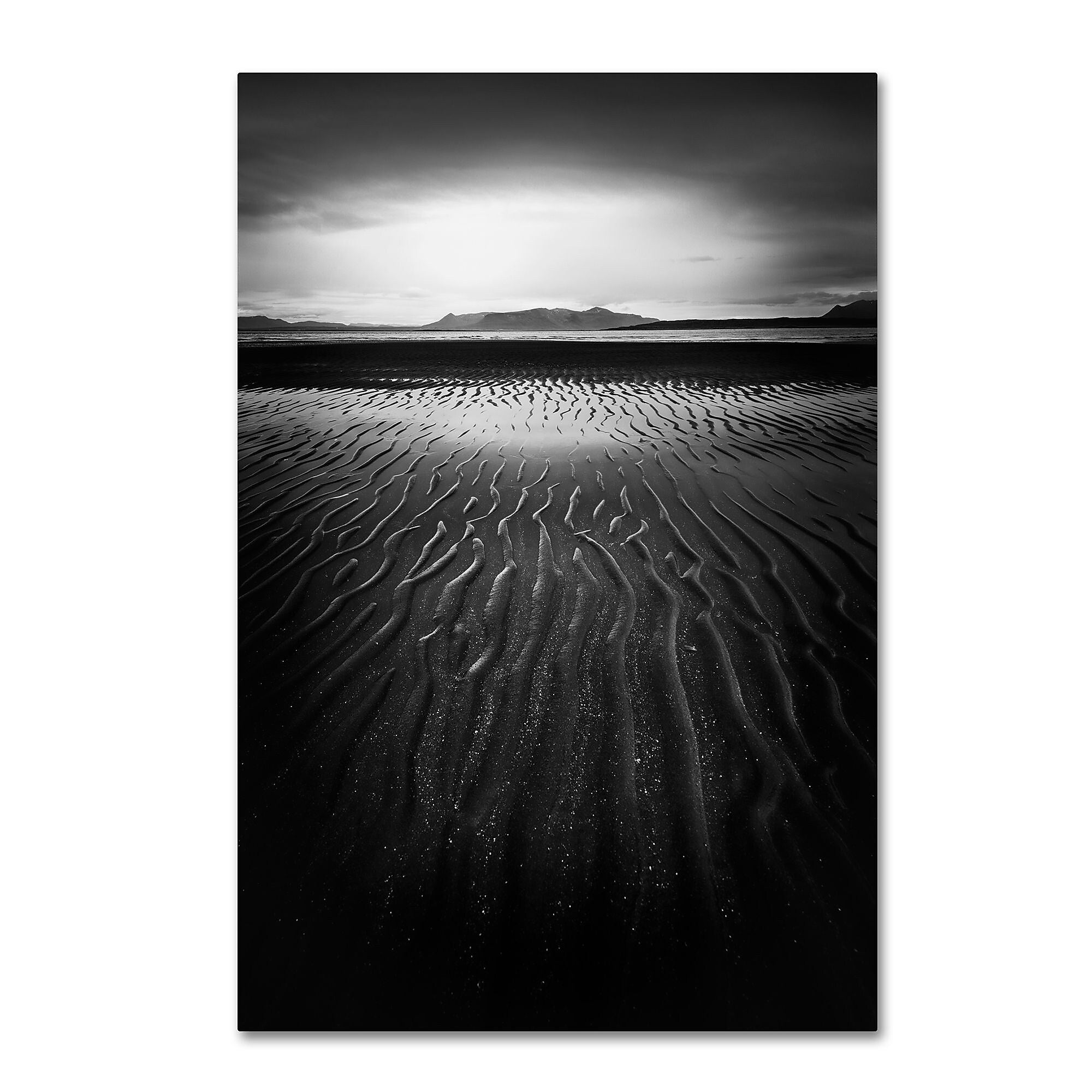 Trademark Fine Art Philippe Sainte-Laudy 'Black Magic' 12" x 19" Canvas Stretched Art Print (190836284924)
