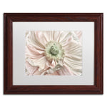 Trademark Fine Art Cora Niele 'Pink Poppy' 11" x 14" Matted Framed (190836308361)