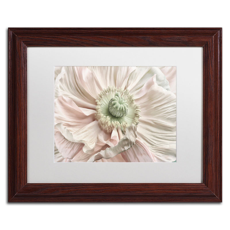 Trademark Fine Art Cora Niele 'Pink Poppy' 11" x 14" Matted Framed (190836308361)