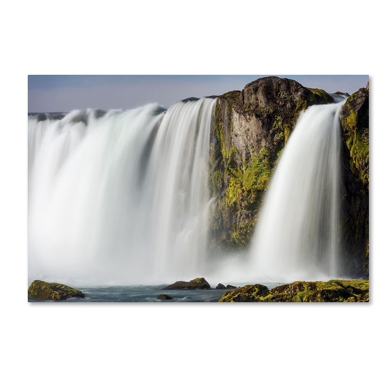 Trademark Fine Art Philippe Sainte-Laudy 'White Noise' 12" x 19" Canvas Stretched (190836333967)