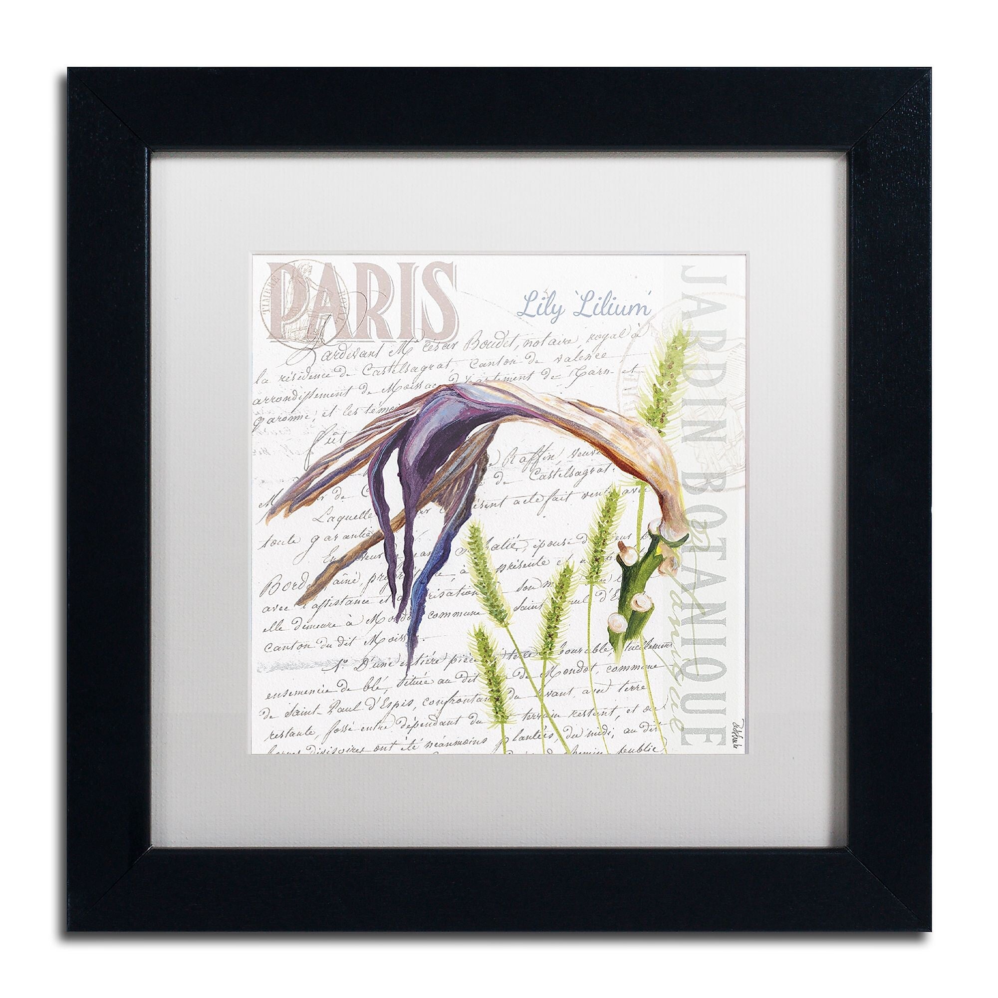 Trademark Fine Art Jennifer Redstreake 'Paris Botanique Lily Purple' 11" x 11" Matted Framed (886511944176)