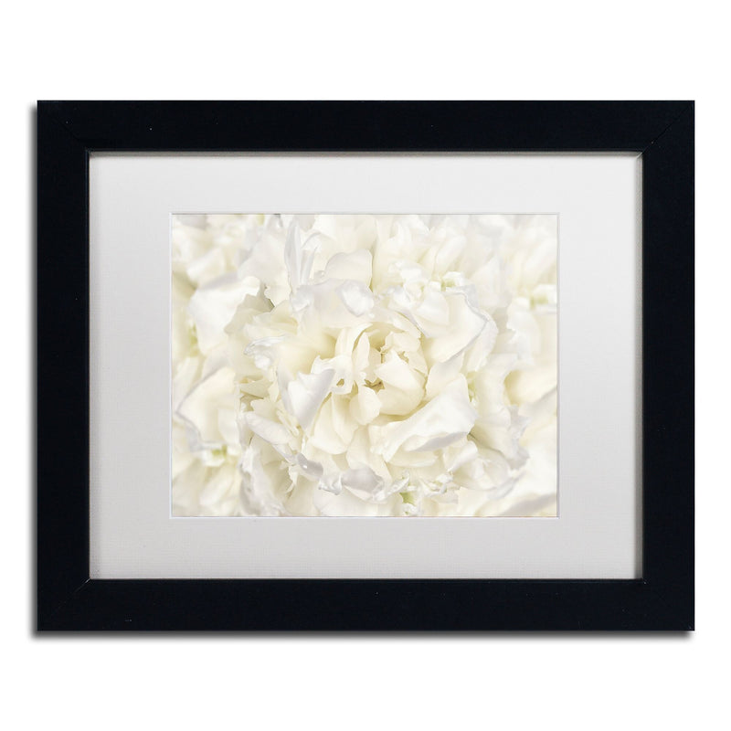Trademark Fine Art Cora Niele 'White Peony Flower' 11" x 14" Matted Framed (190836311040)