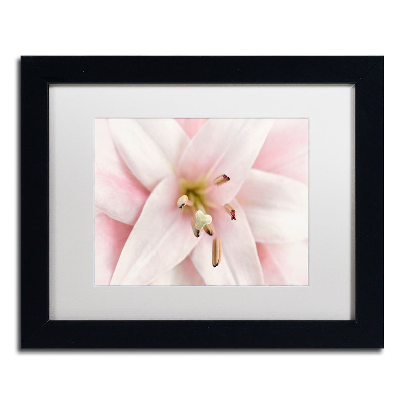 Trademark Fine Art Cora Niele 'Pink Lily' 11" x 14" Matted Framed (190836306985)